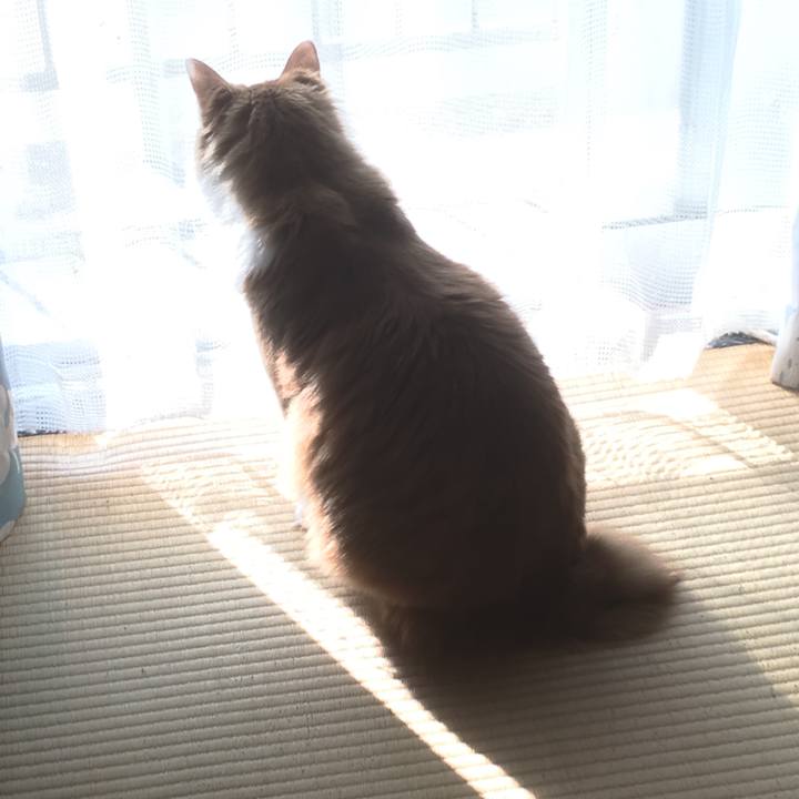 E4acaf34 3606 4f08 8274 339e94e91923