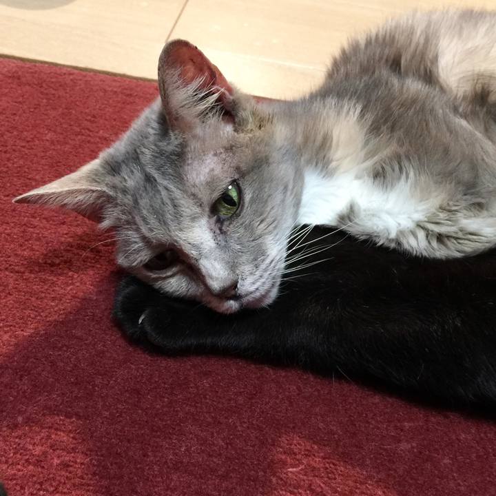 E4acd1ee 7bf3 4205 acf7 bed5e9a82a2f