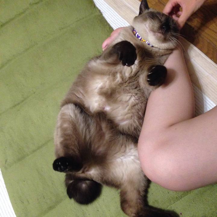 E4ace334 7f1e 4633 b246 61cab5a7058c