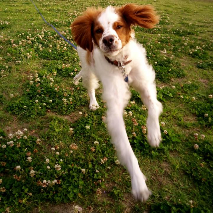 E4ad146f 154b 4226 ab8c 388ab837084e