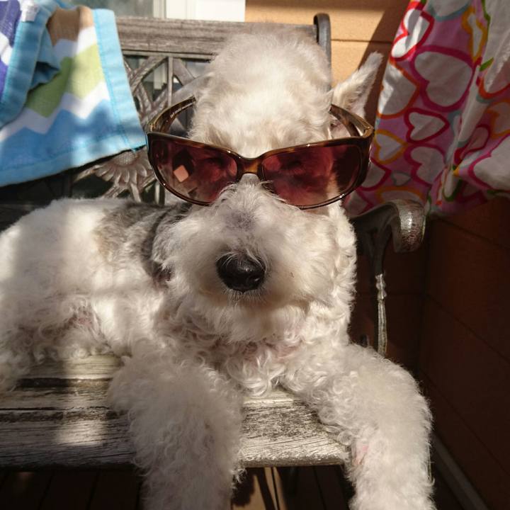 E4ad6dd6 b4ea 4f67 a1f0 f136664c7f29