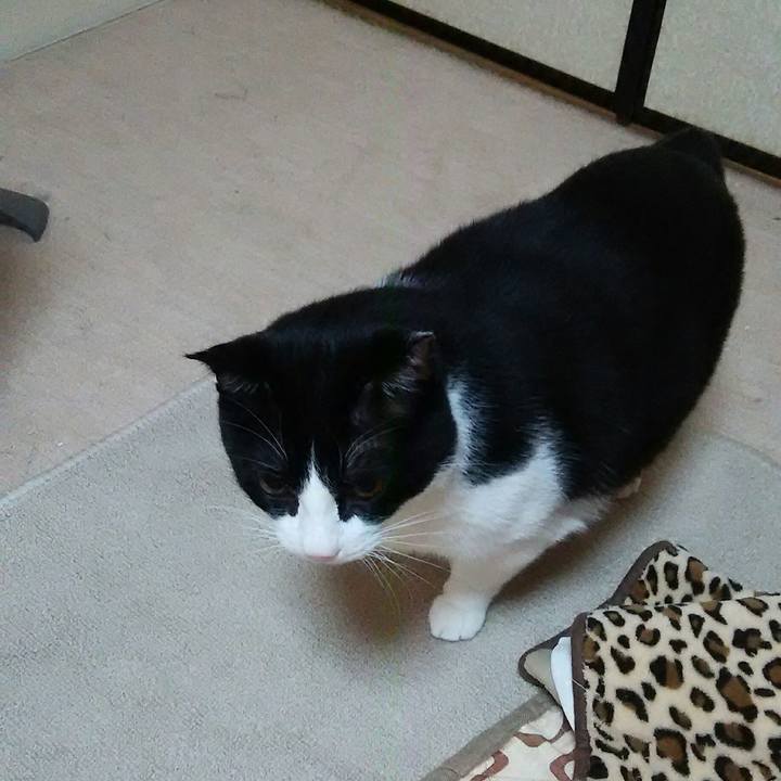 E4ad75c2 0b32 41b6 a901 cc9a0f106916