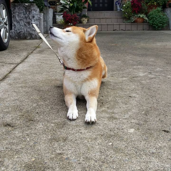 E4adf665 5487 440e 92ec d2314bb1084b