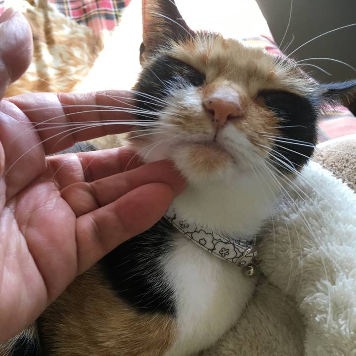 E4ae8d31 a5df 4322 be99 3ea255543f20