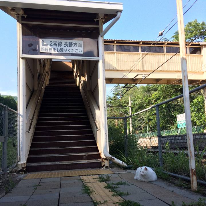 E4aedde6 1f57 46bb a5c5 115217c1955b