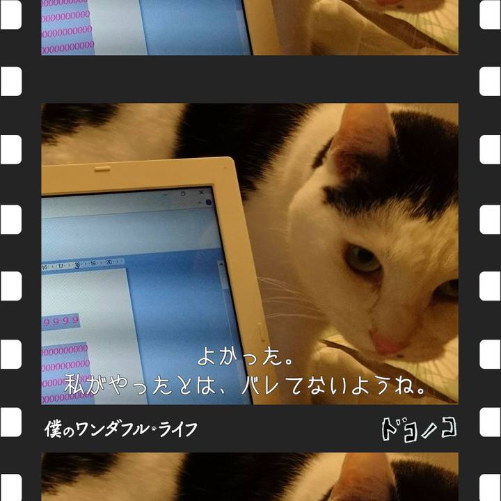 E4aee50d ef6e 4de8 8272 b63913140289