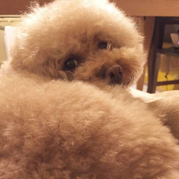 E4afddea 6df0 4ca4 988b b16937639313