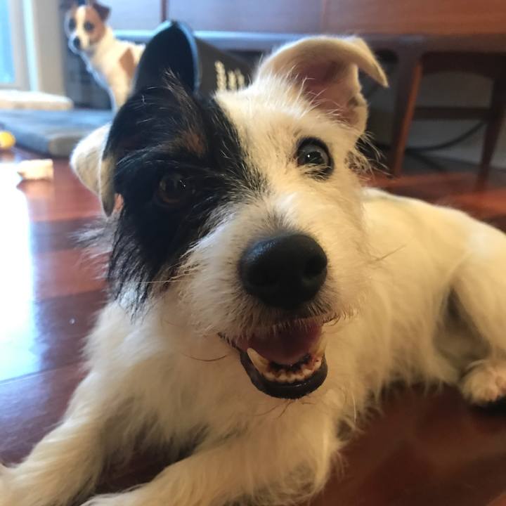 E4b0a74d bf96 4dcf 9947 f67c75e4196a