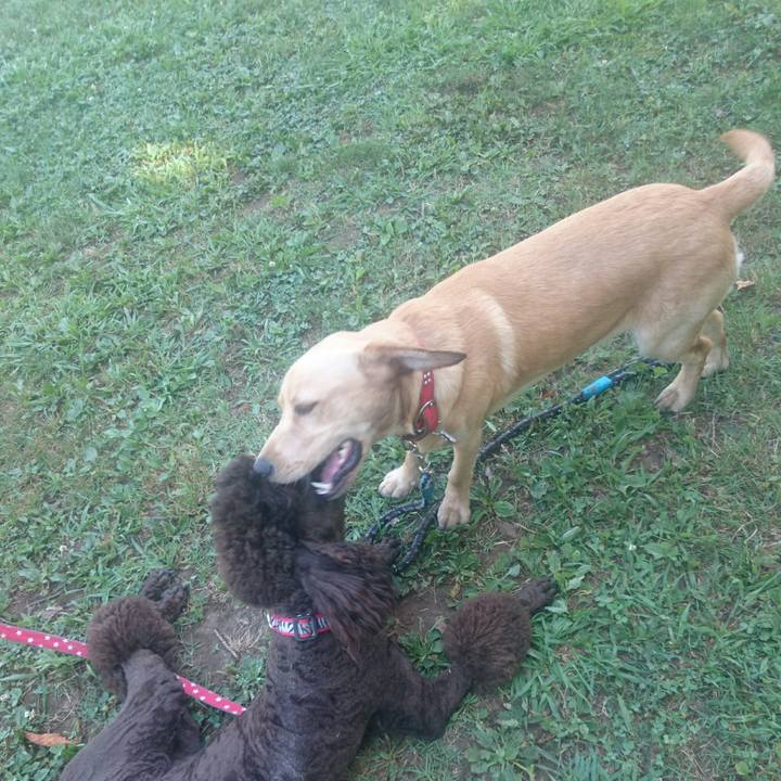 E4b1a281 0fc5 430e 9792 f24fe1fc2578