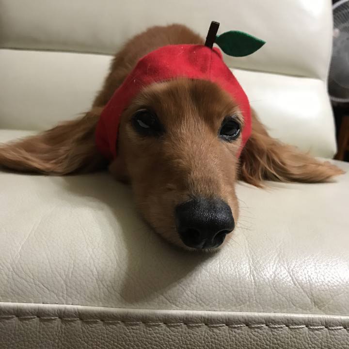 E4b1dad8 982f 449c 9c6b f7531e73ef8c