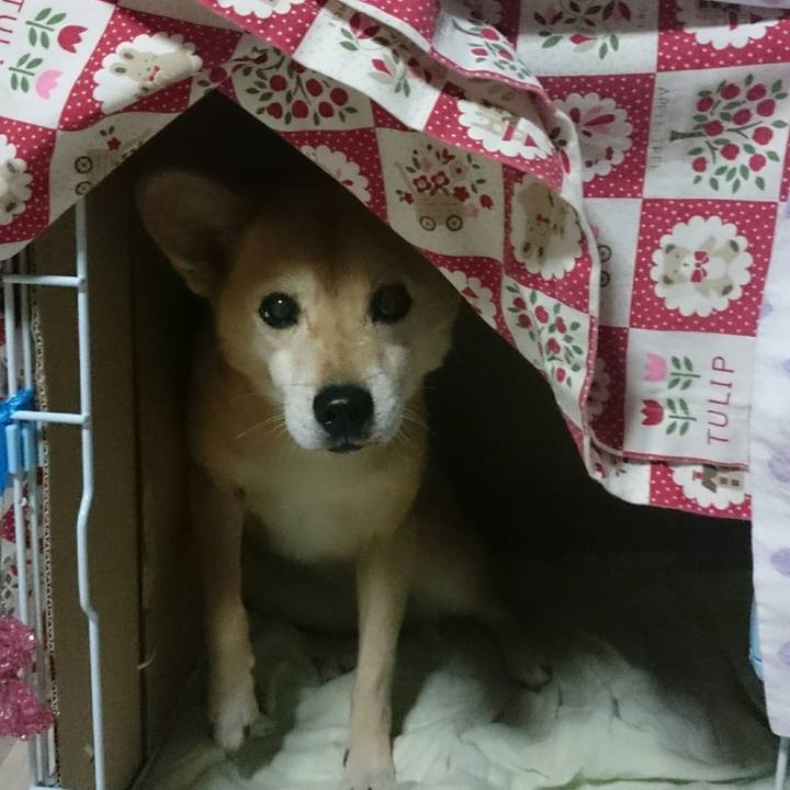 E4b2a85c 1fec 4715 9a9e 0789eabc0e73