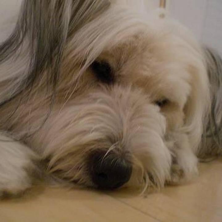 E4b32190 e868 4ace aaf8 f5d6030350dd