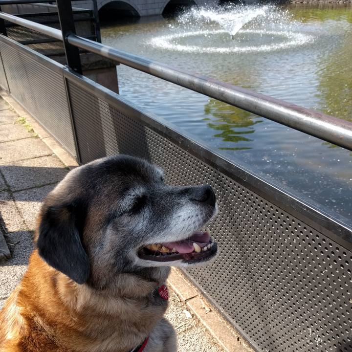 E4b3d4d5 6ca0 4d8d 9091 60ac83f5bc7d