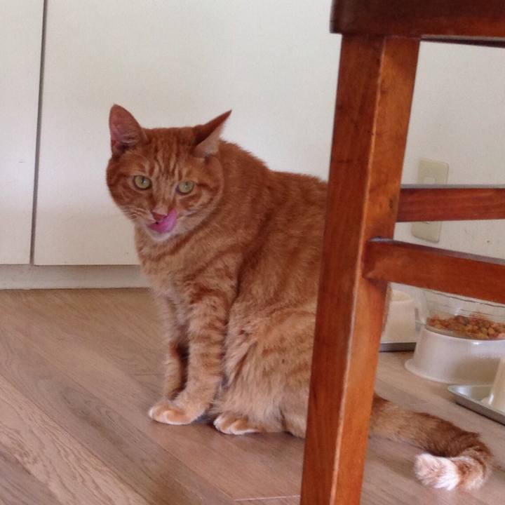 E4b40185 553e 42ab b032 617eda244f74