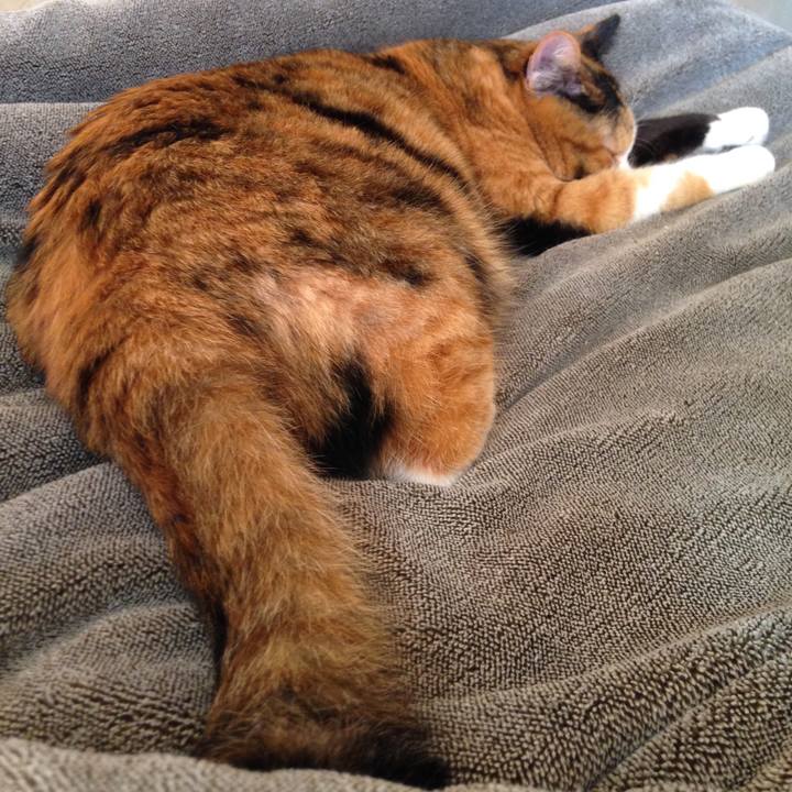 E4b44766 361d 432c 9b8d 151dbf65586e