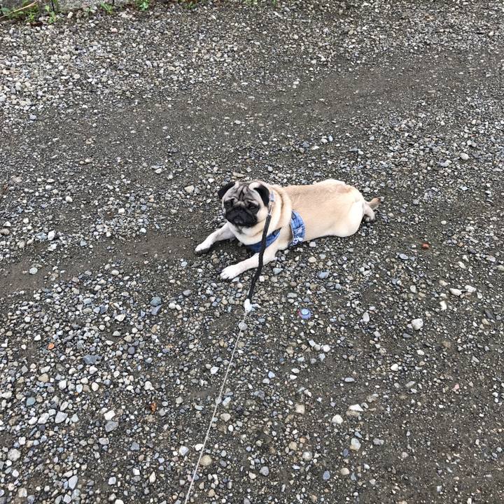 E4b4574b 9a74 4383 af7f 1b9cf0b32ea0