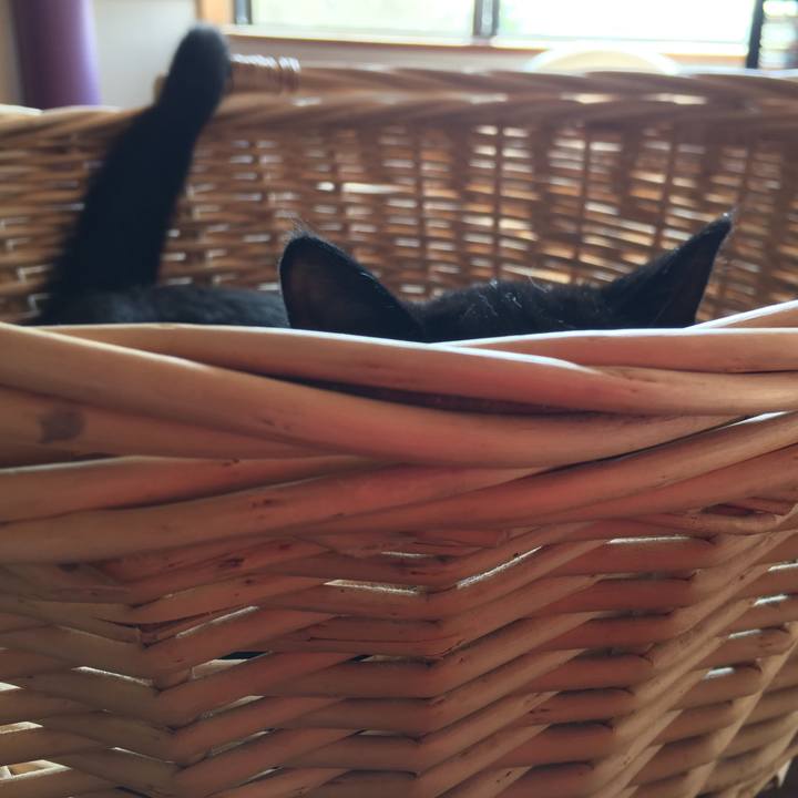 E4b45a14 1069 447f 9493 4169802e2a18