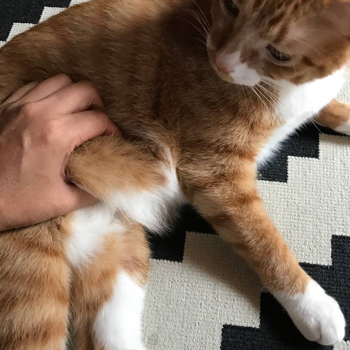 E4b48f96 7986 4d0a 93d5 152c91c1d423