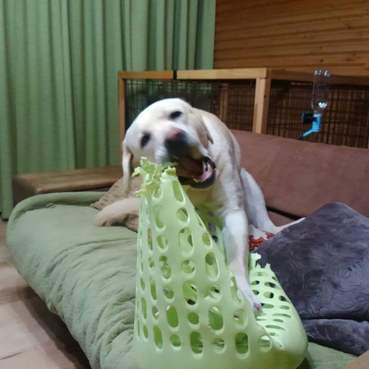 E4b4b42b 5c2d 4995 b6ac 952156d5ead5