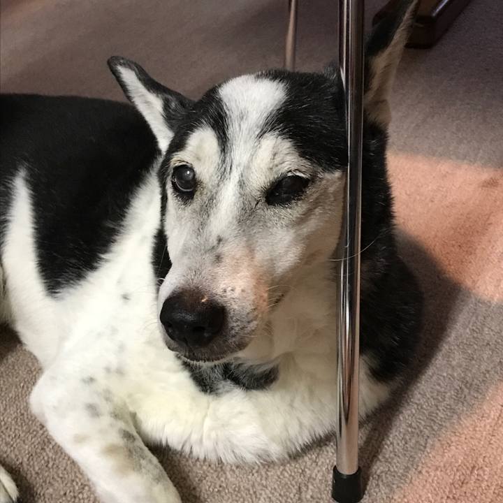 E4b4c4b3 e082 4fca bf44 b1fa969ec39b