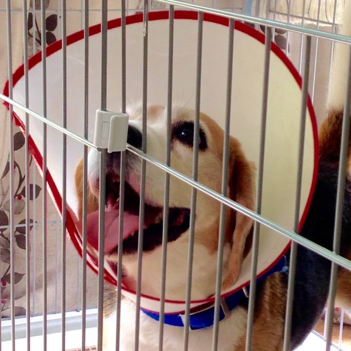 E4b4ee74 eee5 41eb abb8 b31e63575bf6