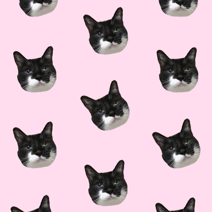 E4b5a6b9 3e00 44e4 83f2 a11279e370f4