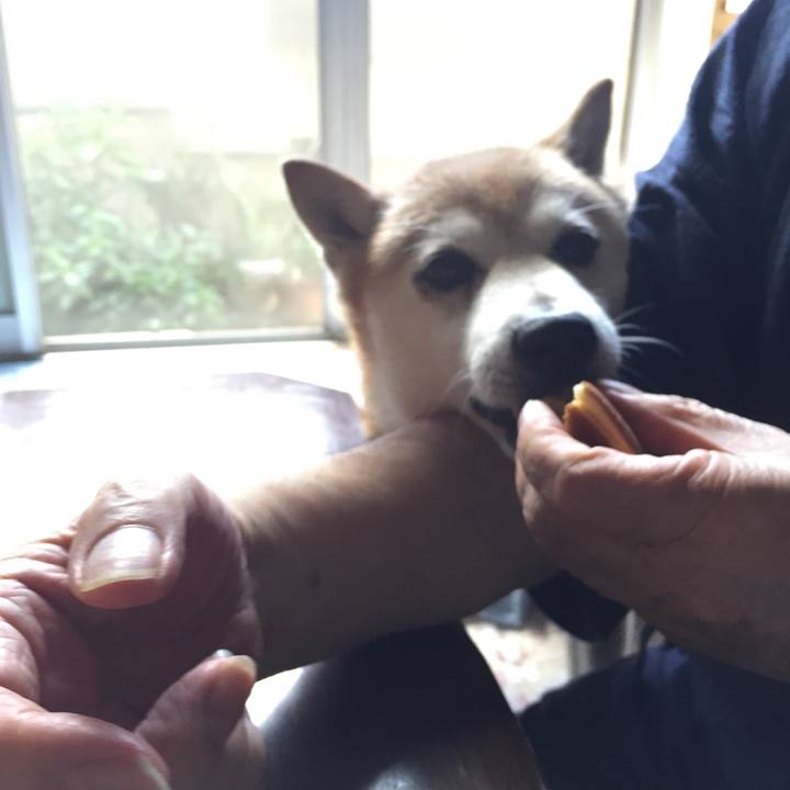 E4b5cb5f a10b 48fe b9be 59c3f038ca94