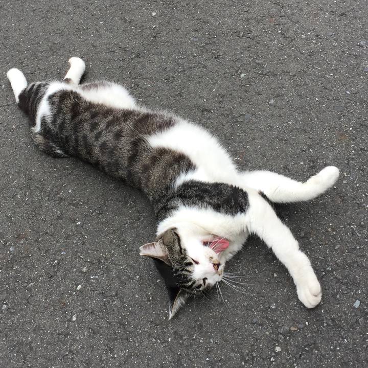 E4b5ce52 d25e 45e1 aec6 c4d92709ea59