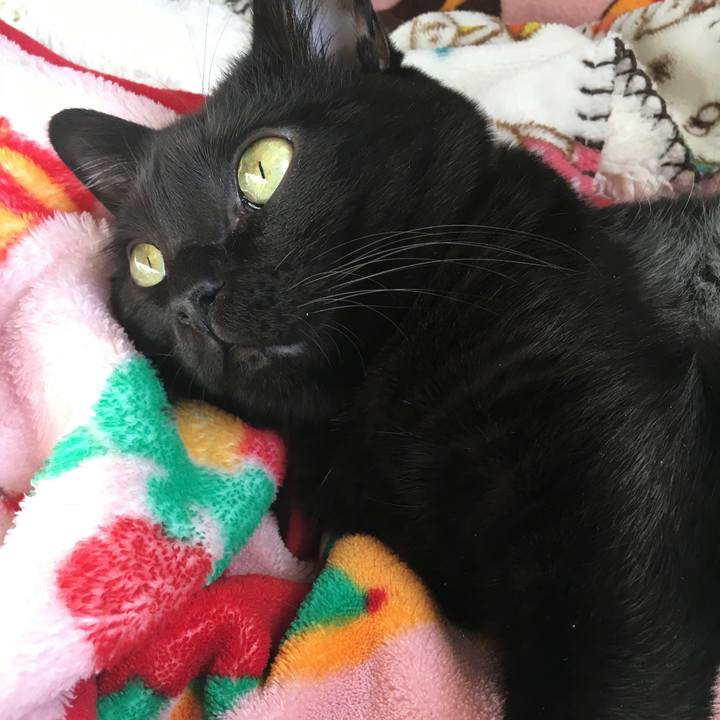 E4b5de9d f08b 4d1d b4aa 0beccfc24fd8