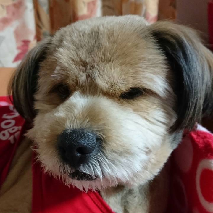 E4b5e147 2cf7 498c 8af8 89f4eec63be8