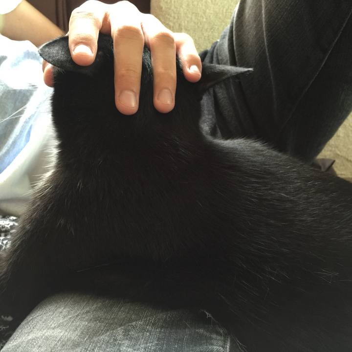 E4b6be0b 031b 4522 a463 7e96e1ff7074