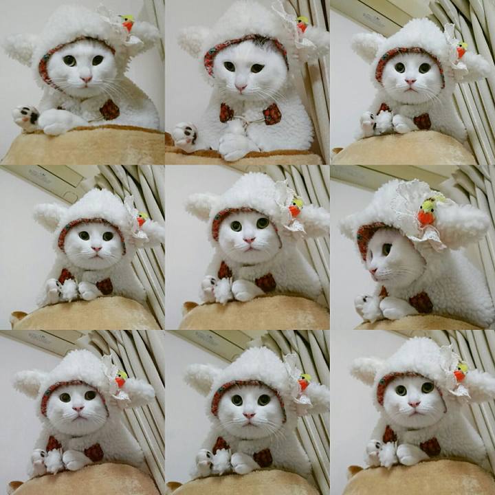 E4b6f130 d8f2 47c4 94ae bb2a4834c960