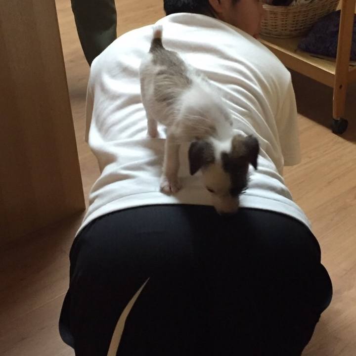 E4b75314 a22e 4e91 971b 6a327c92e935