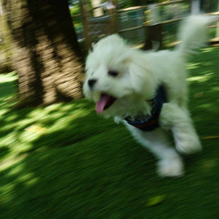 E4b81592 cd7c 4228 8be0 cc1f67fa2c5e