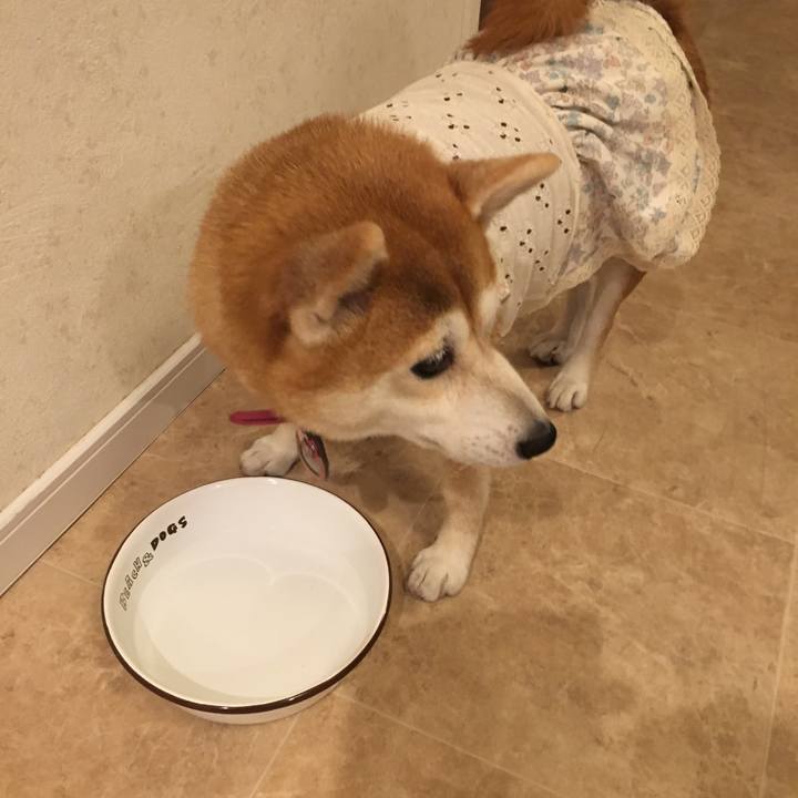 E4b8b29f bc16 4818 81b8 a357c65d0476