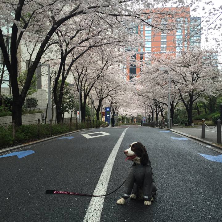 E4ba5f68 4c16 4cf6 9924 698cdfe4ab30