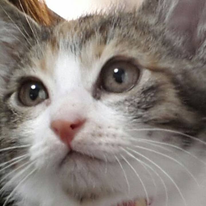 E4bafc62 b837 40fb a3ce 72733b1e1a37