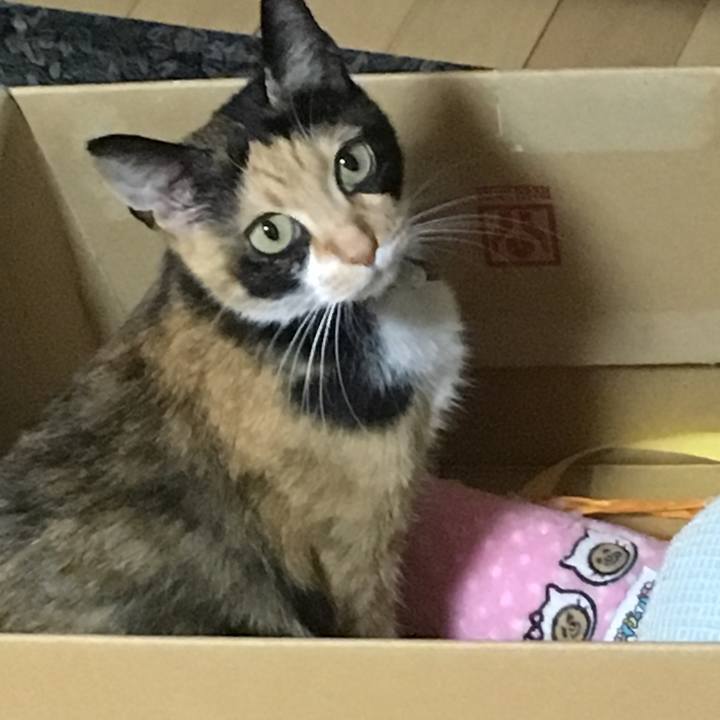 E4bb0ce6 f652 442a ba02 da21d4af4b91