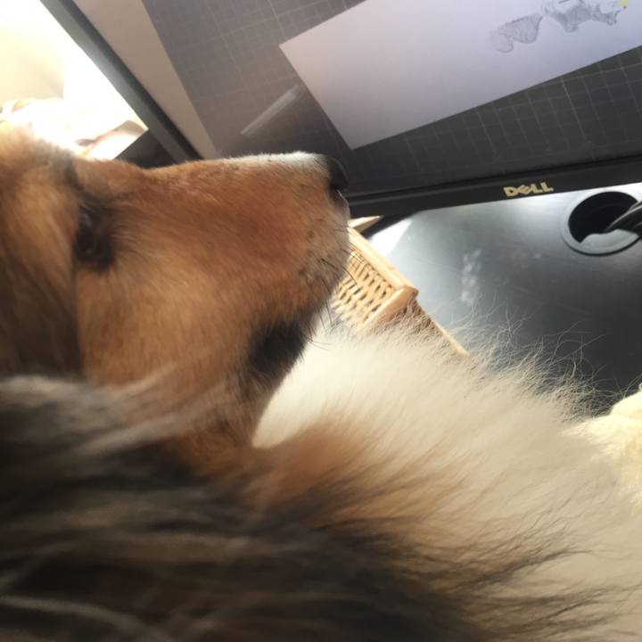 E4bbb7b0 4cdc 4048 9966 08af5cb2a290