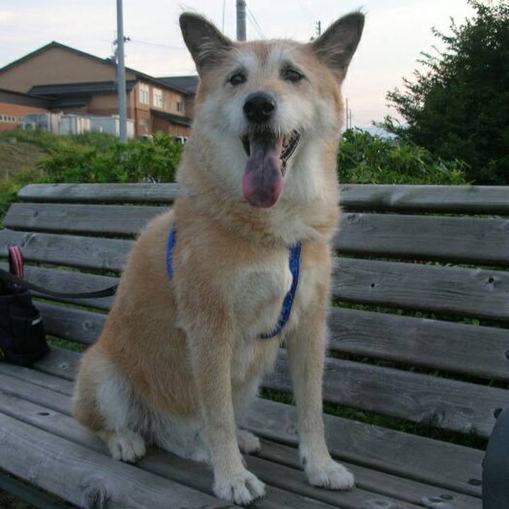 E4bc7354 8ef4 4803 a904 d1af871d795f