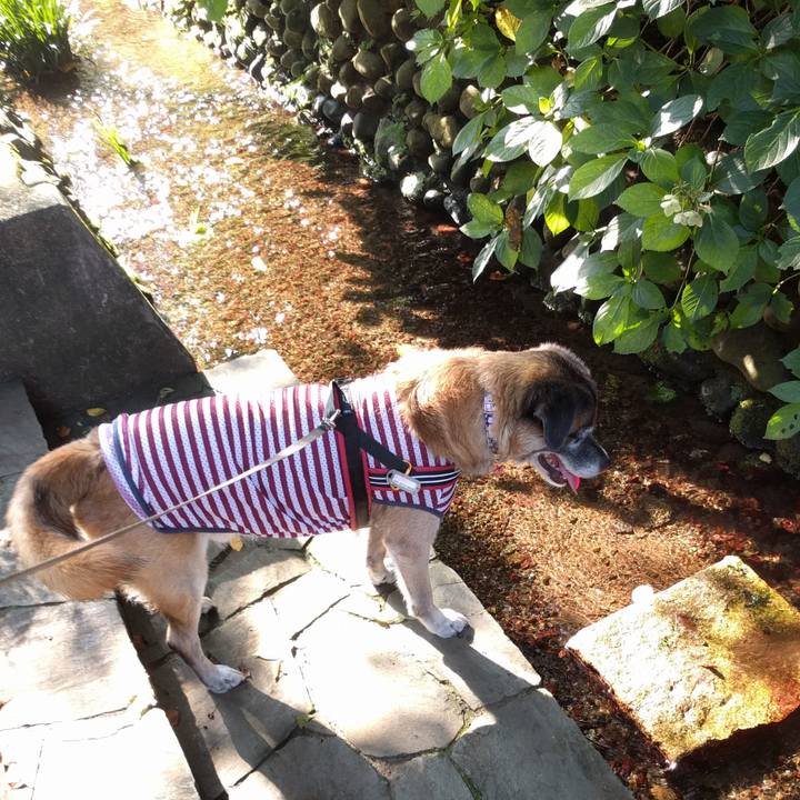 E4bd48d6 a05e 47db bfc9 3f33e12f40c7