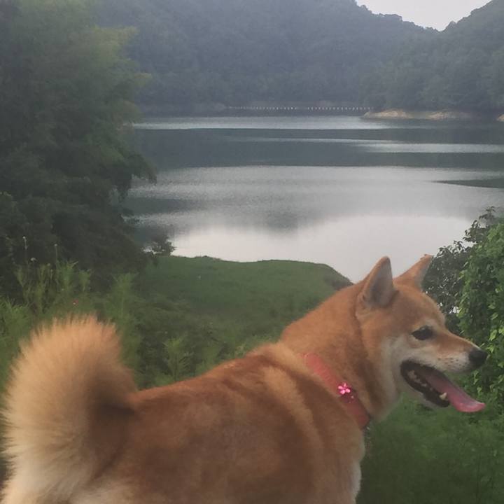 E4bdad92 a974 470a a2ce dd2bebc67adc