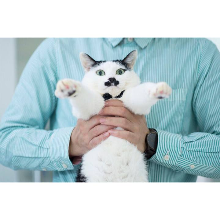 E4bdbf4b 1164 476e 8f44 db1616cd7e9f