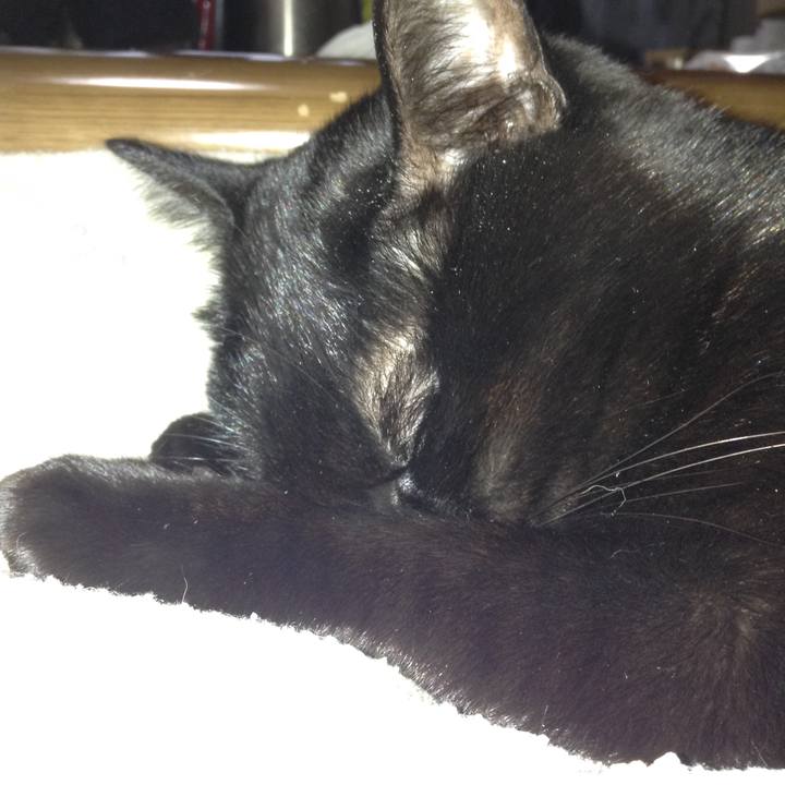 E4bdef05 0e37 4356 9d2c 6a784bfffb38