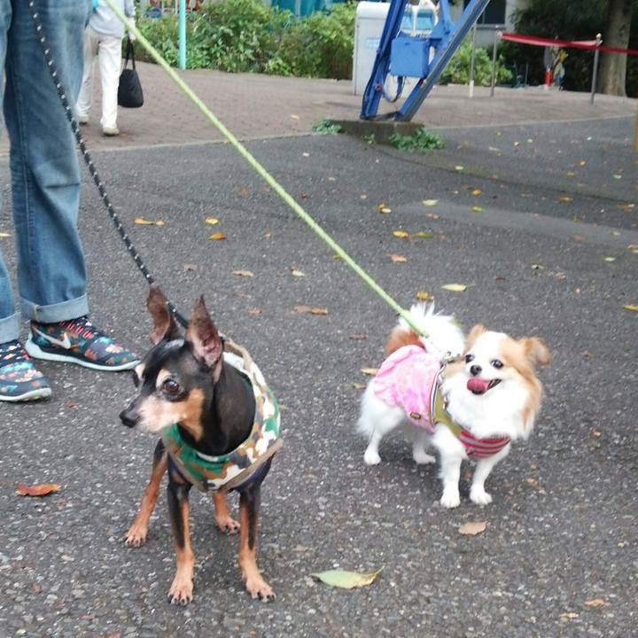 E4bdf327 1d57 4645 88c0 6fcc57f8641d