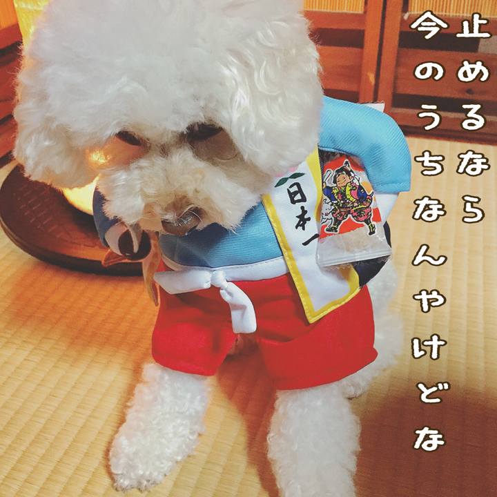 E4be9a7e 6d1f 4746 8db5 41057f3defd5