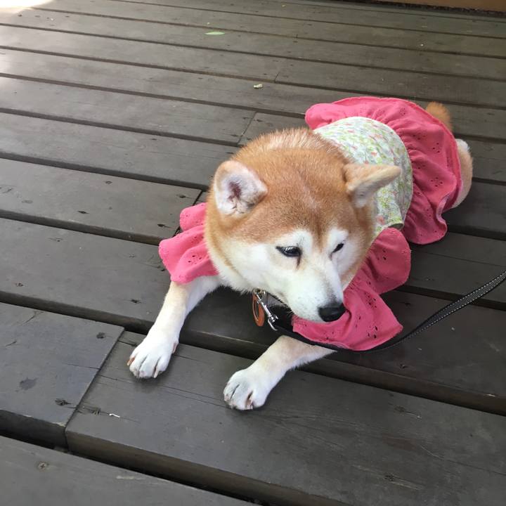 E4bf76c1 16db 42b2 affb c3f9c860a0fd