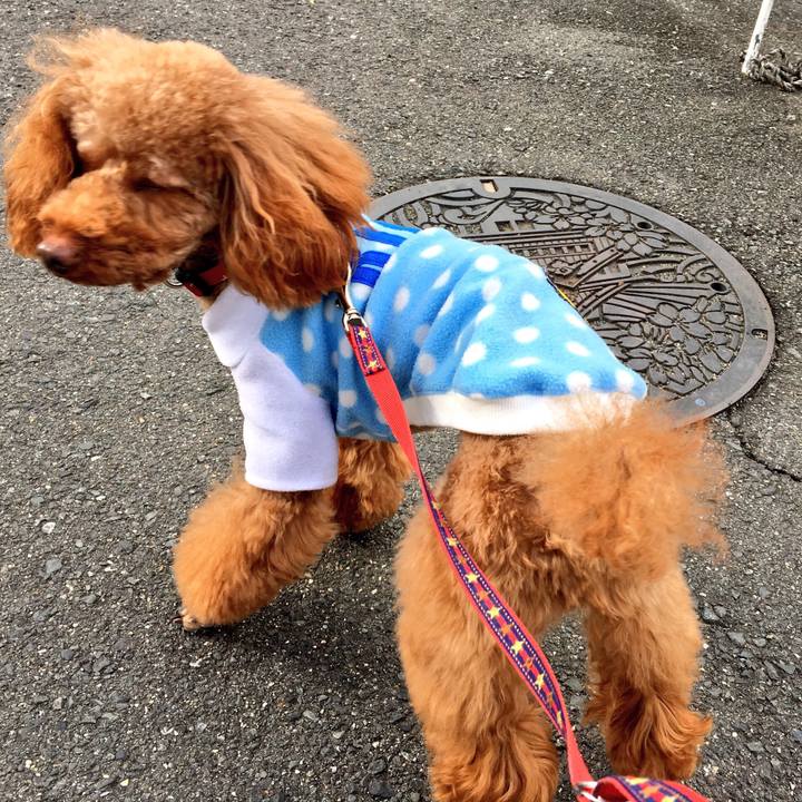 E4bfd06f 2b25 4444 b715 3c7bbf70bbf3