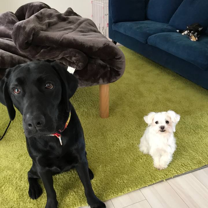 E4c00f77 3c14 47d0 9591 4946ae8579e4