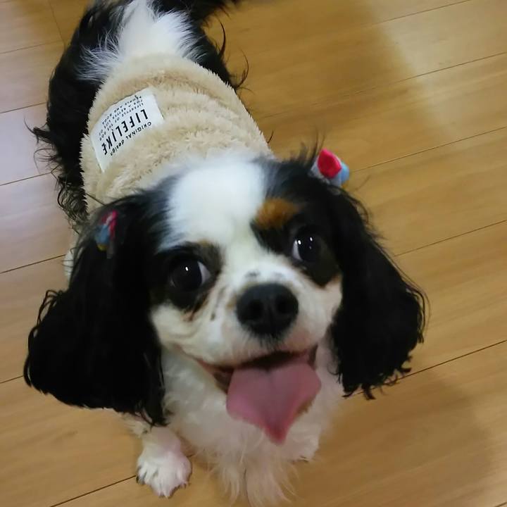 E4c0204f c2e9 40da a8a1 d67c340f5dd2